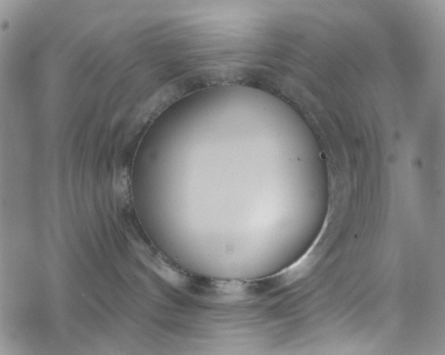 X0000072990144200608041317