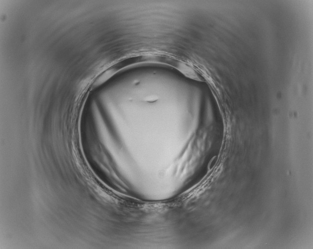 X0000072990145200608041317