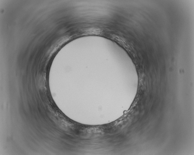 X0000072990146200608041317