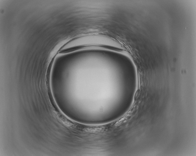 X0000072990147200608041317