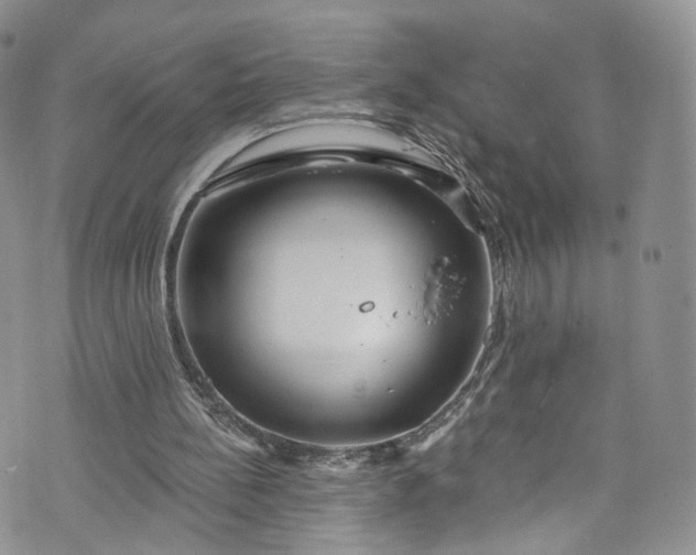 X0000072990148200608041317