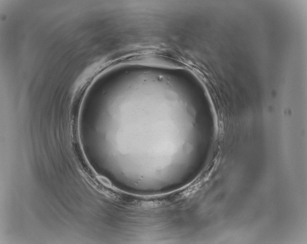 X0000072990149200608041317