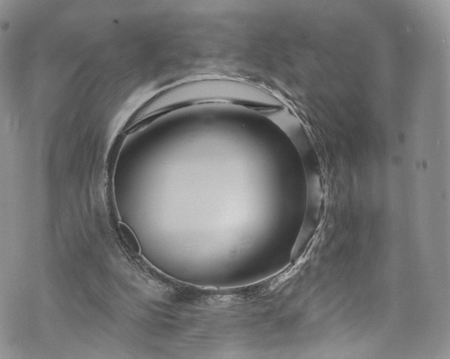 X0000072990152200608041317