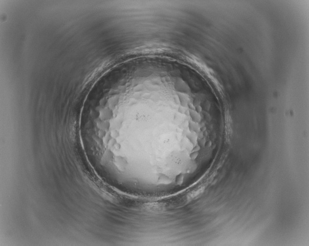 X0000072990153200608041317