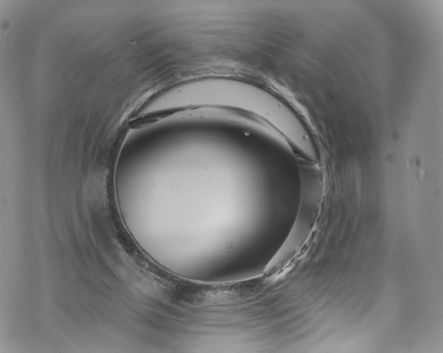 X0000072990154200608041317