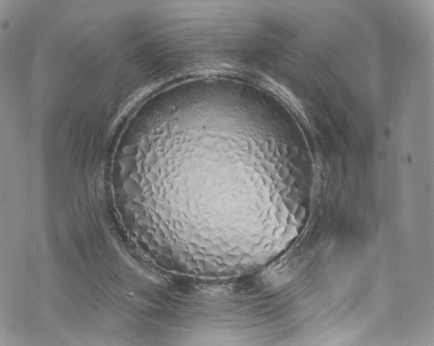 X0000072990155200608041317