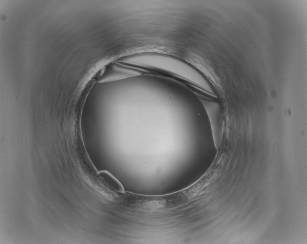 X0000072990156200608041317