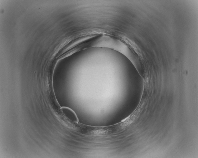 X0000072990158200608041317