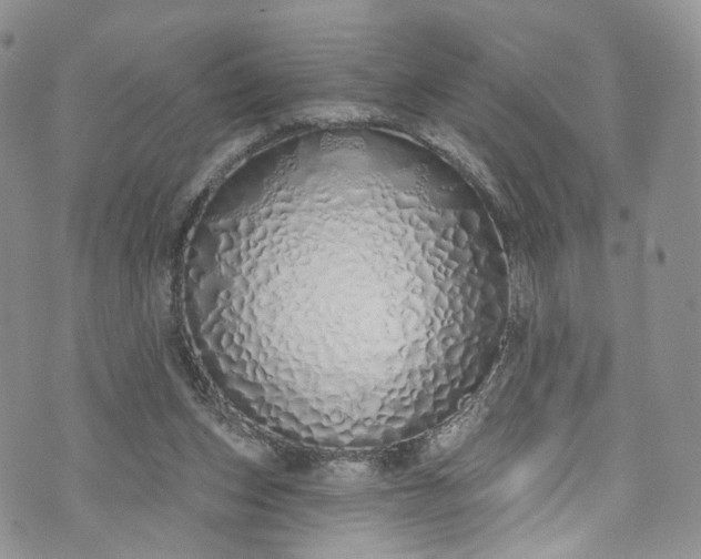 X0000072990159200608041317