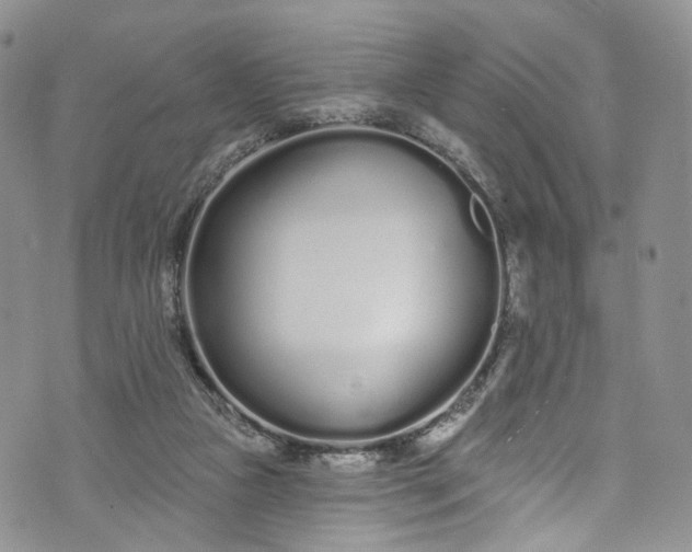 X0000072990161200608041317