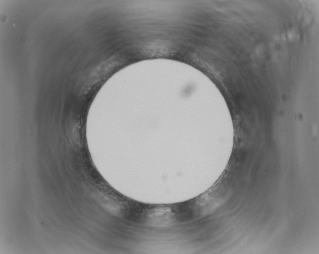 X0000072990162200608041317