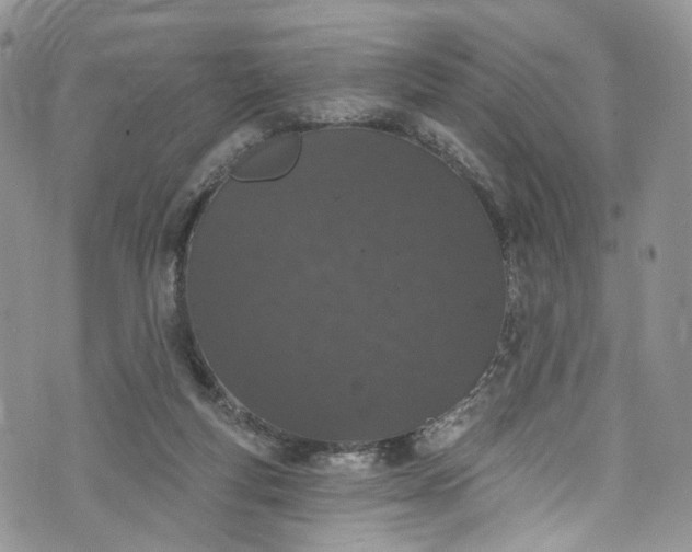 X0000072990163200608041317