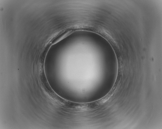 X0000072990164200608041317