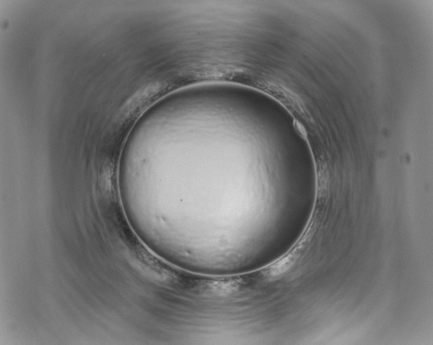 X0000072990166200608041317