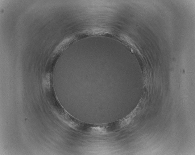 X0000072990167200608041317