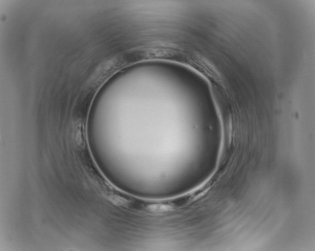 X0000072990169200608041317