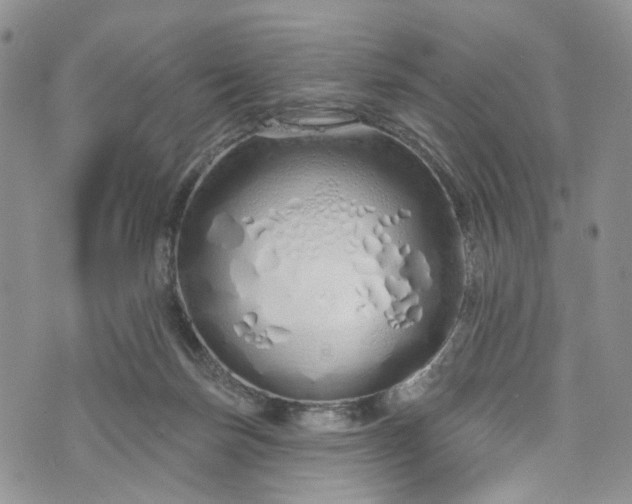 X0000072990171200608041317