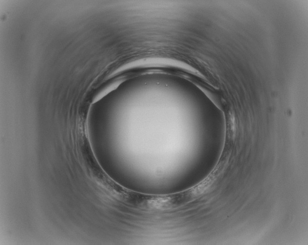 X0000072990172200608041317