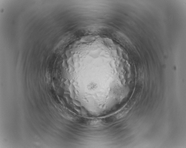 X0000072990173200608041317