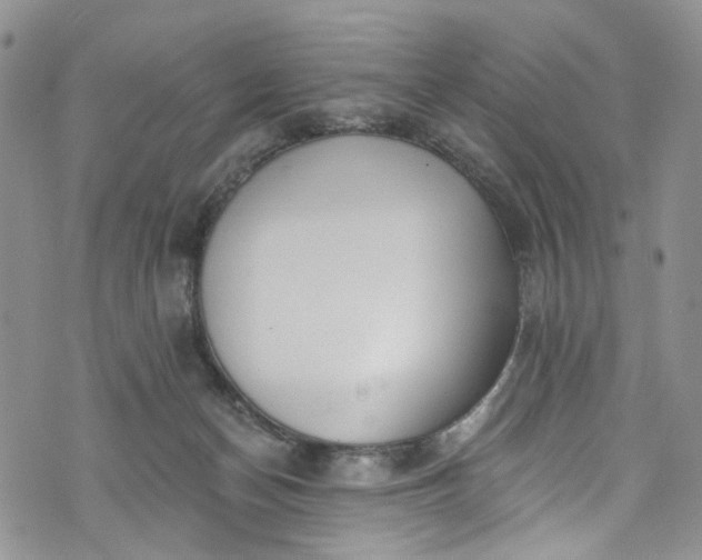 X0000072990174200608041317