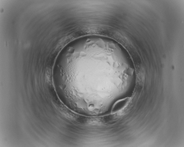 X0000072990175200608041317