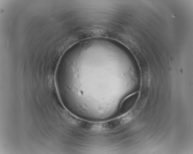 X0000072990177200608041317