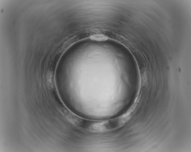 X0000072990178200608041317