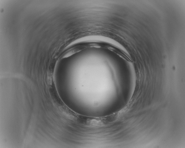 X0000072990180200608041317