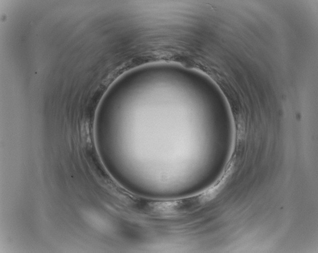 X0000072990182200608041317