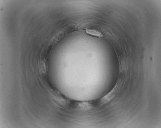 X0000072990183200608041317