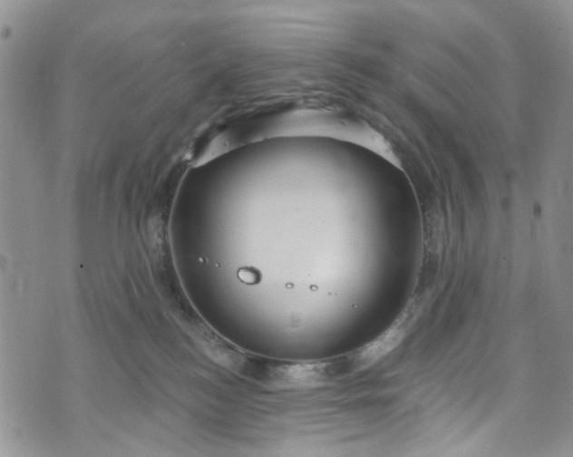 X0000072990184200608041317