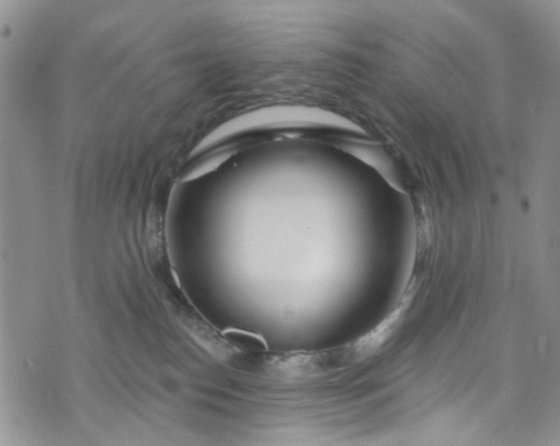 X0000072990186200608041317