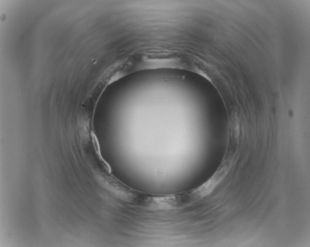 X0000072990188200608041317