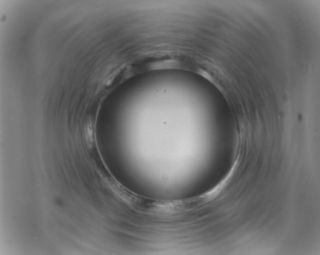 X0000072990190200608041317