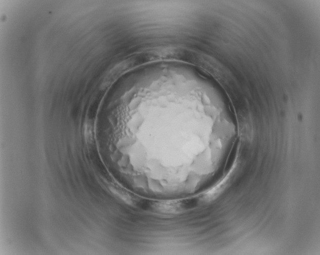 X0000072990191200608041317