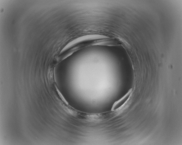 X0000072990192200608041317