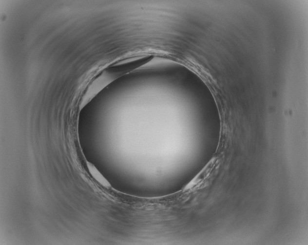 X0000072990193200608041317