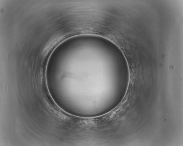 X0000072990194200608041317