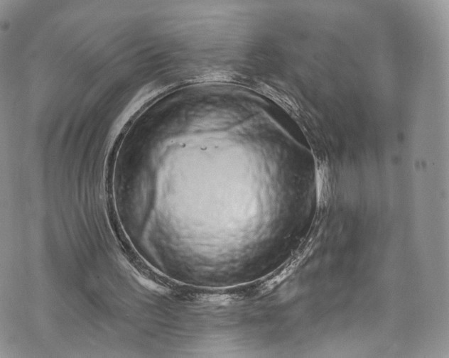 X0000072990195200608041317