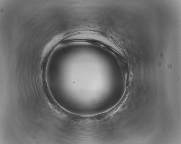 X0000072990197200608041317