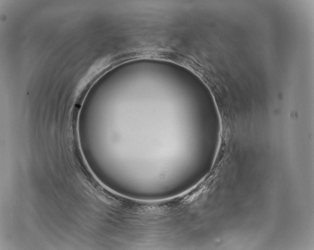 X0000072990198200608041317