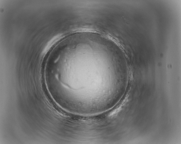 X0000072990199200608041317