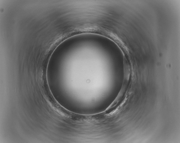 X0000072990201200608041317