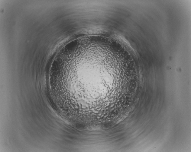 X0000072990202200608041316