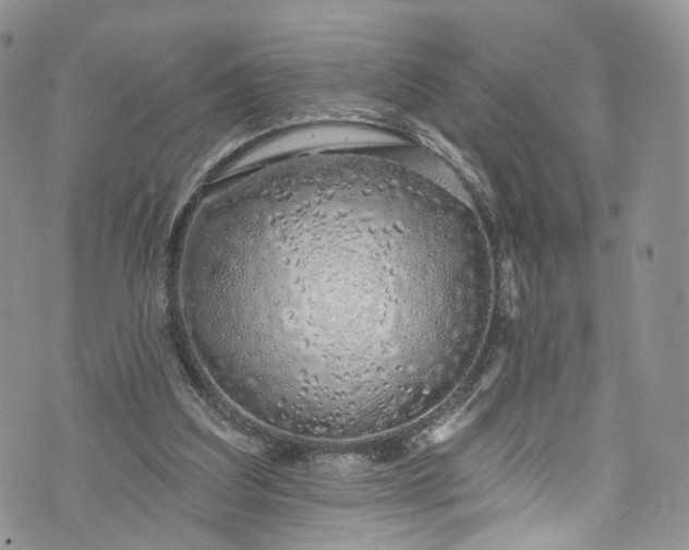 X0000072990203200608041316