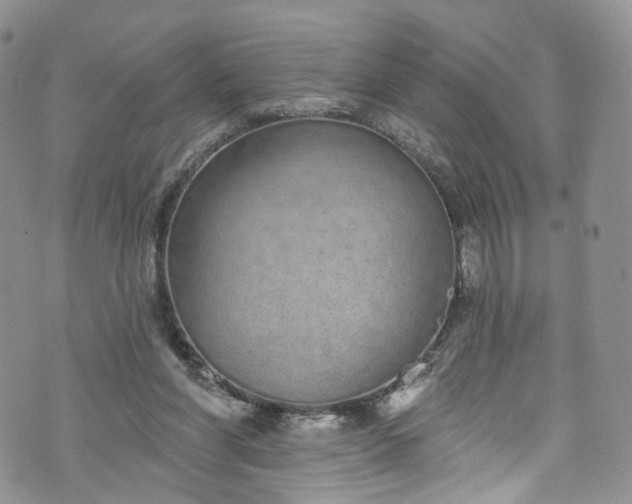 X0000072990206200608041316