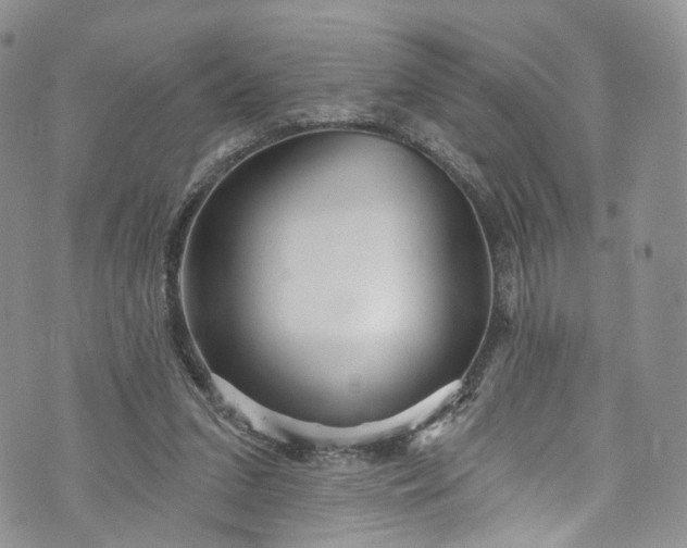 X0000072990207200608041316