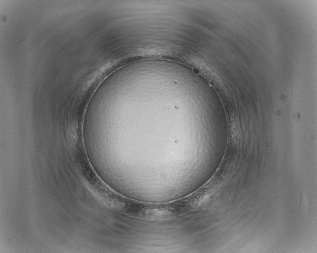 X0000072990208200608041316