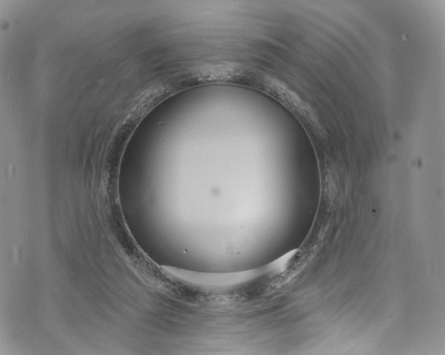 X0000072990209200608041316