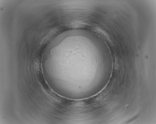 X0000072990210200608041316